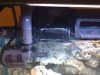 AquaC Remora Skimmer