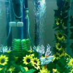 Fishcam