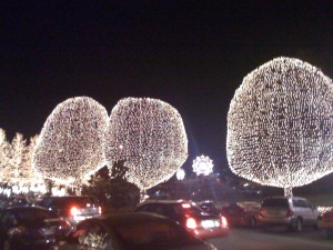 Christmas Tree Lighting