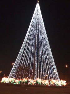 Christmas Tree Lighting