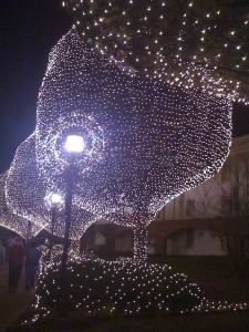 Christmas Tree Lighting