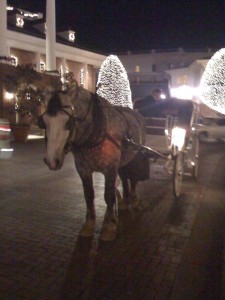Horse and Buggy